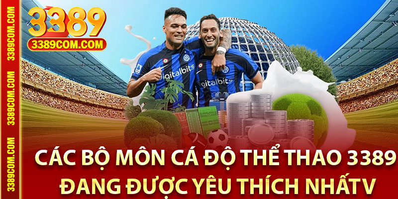 Thể Thao 3389 - Điểm Đến Cá Cược Bóng Đá Hàng Đầu Châu Á 4 Các bộ môn cá độ thể thao 3389 đang được yêu thích nhất